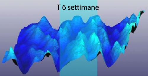 T6_replica_cutanea-evidenza