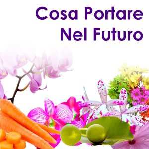 Cosa portare nel futuro