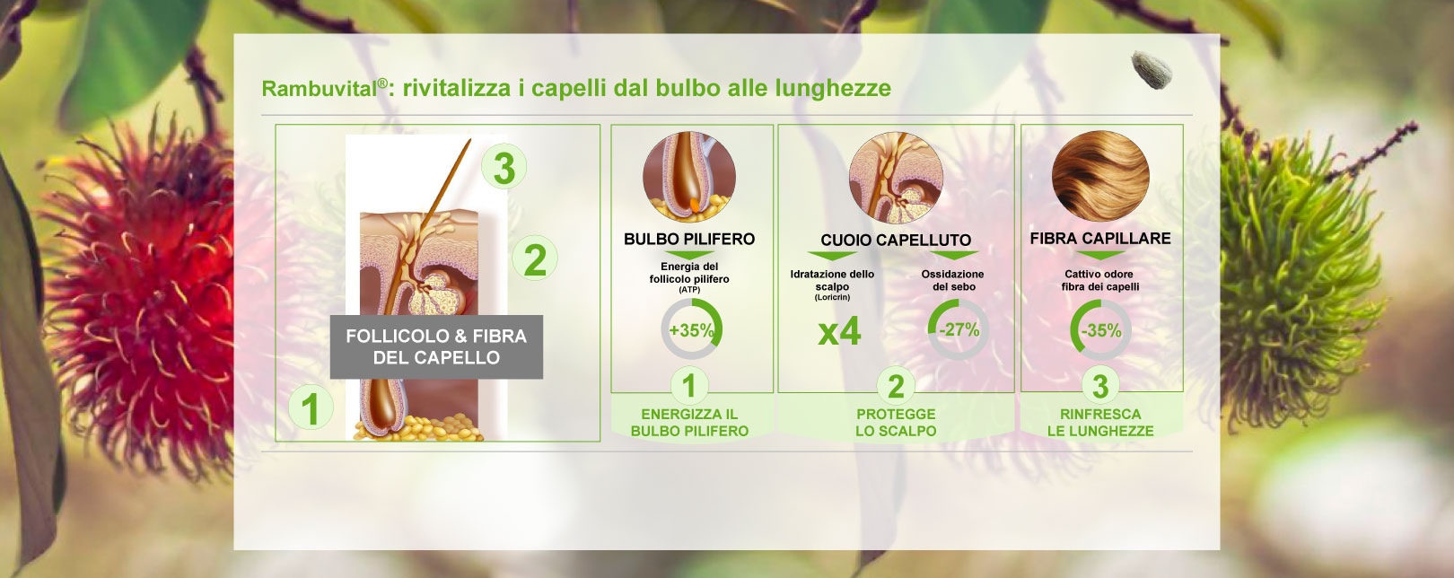 Rambuvital rivitalizza i capelli dal bulbo alle lunghezze