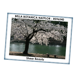 BELLA BOTANICA NATFLOR