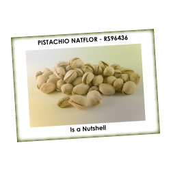 PISTACHIO NATFLOR