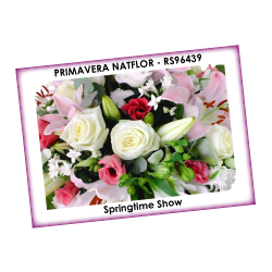 PRIMAVERA NATFLOR