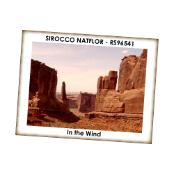 SIROCCO NATFLOR