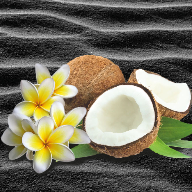 Coconut Scrub Body Butter COD. BSS030919E-01