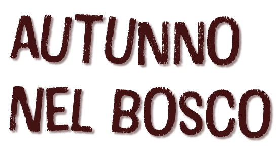 Cosmetics 4 Seasons find your color...Autunno nel Bosco