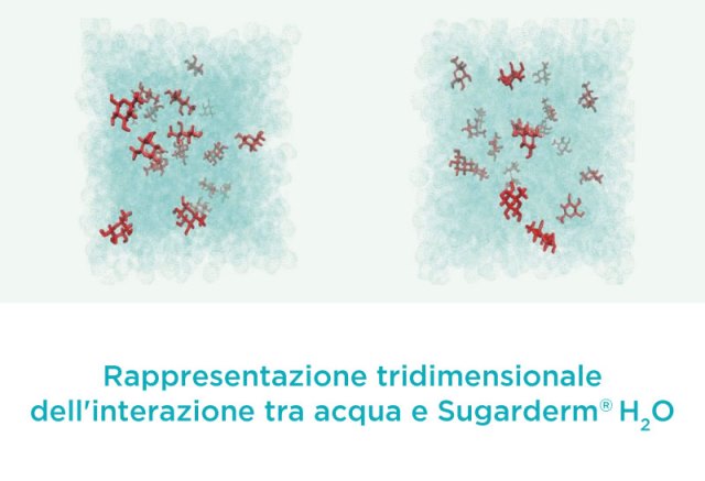 Rappresentazione tridimimensionale dell'interazione tra acqua e sugarderm eh2o