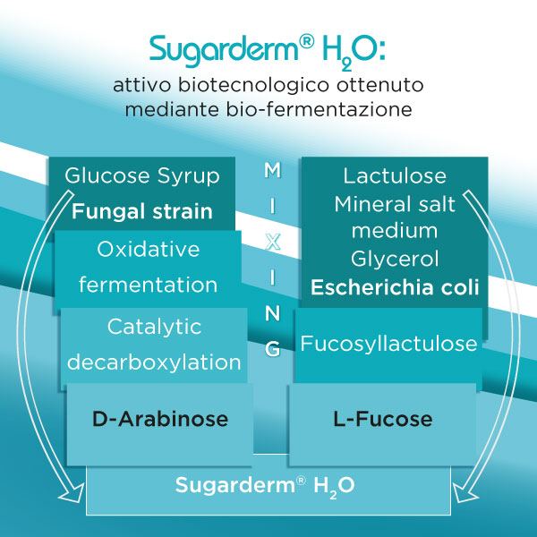 Sugarderm attivo biotecnologico ottenuto da bio-fermentazione